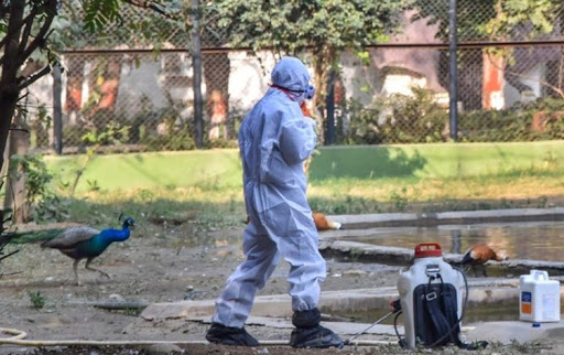 Team of Experts by Centrel.