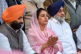 Security was strengthened at the borders of Ghazipur and Tikri (Delhi-Haryana) because of the current farmers' protest.