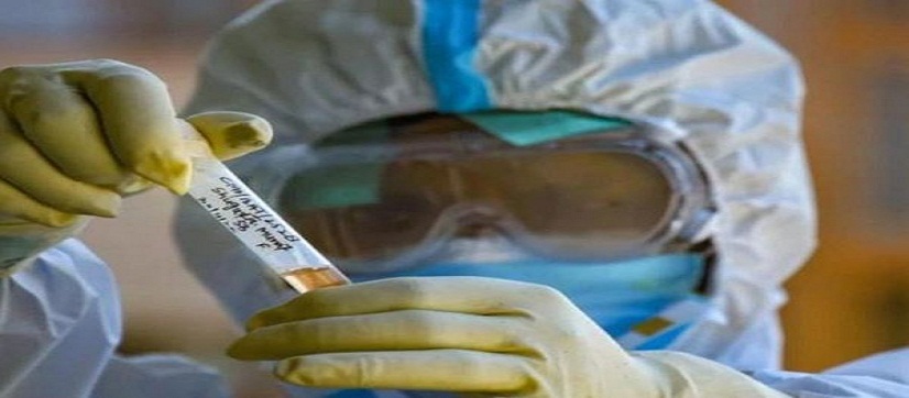 Better 'invulnerable preparing' in more unfortunate nations prompted less Covid-19 passings: CSIR. 