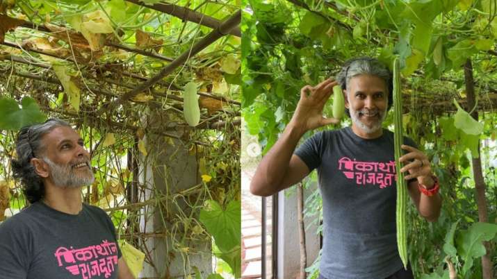 Milind Soman urges fans to eat occasional natural products in new wellness post; here's the reason.