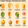 More than 120 varieties of Mangoes are seen in Saharanpur UP.