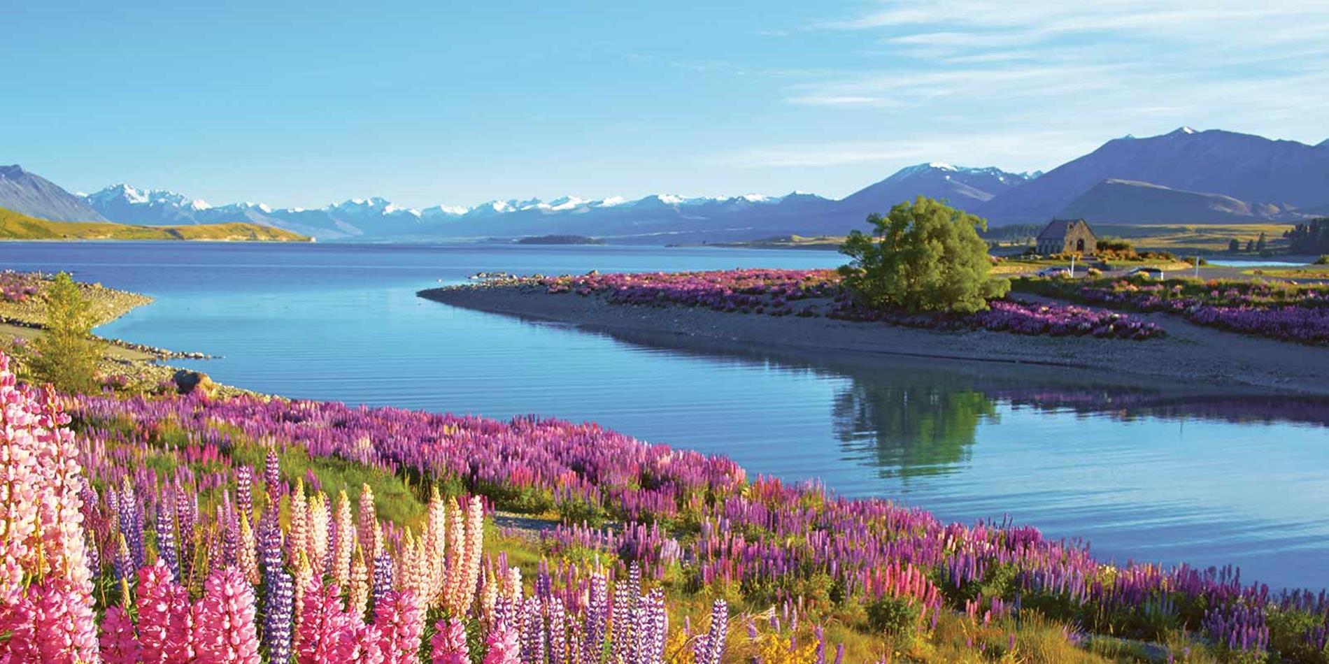 New Zealand will not face Global slowdown problems.