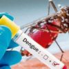 DENGUE CASES IN GUJARAT 2021