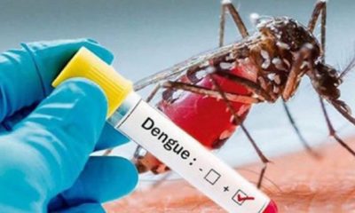 DENGUE CASES IN GUJARAT 2021