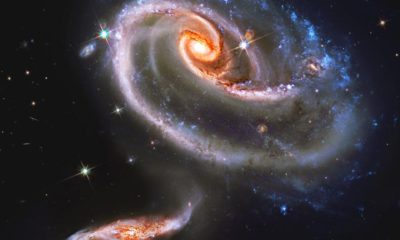 A sweet Cosmetic Rose capture by Nasa. Our Galaxy is beautiful.
