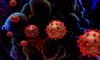 Delta Variant in Maharashtra 30 cases data came.