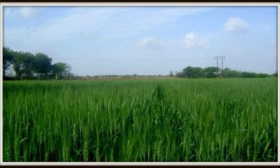 Gujarat Celebrates Kisan Sanman Day.