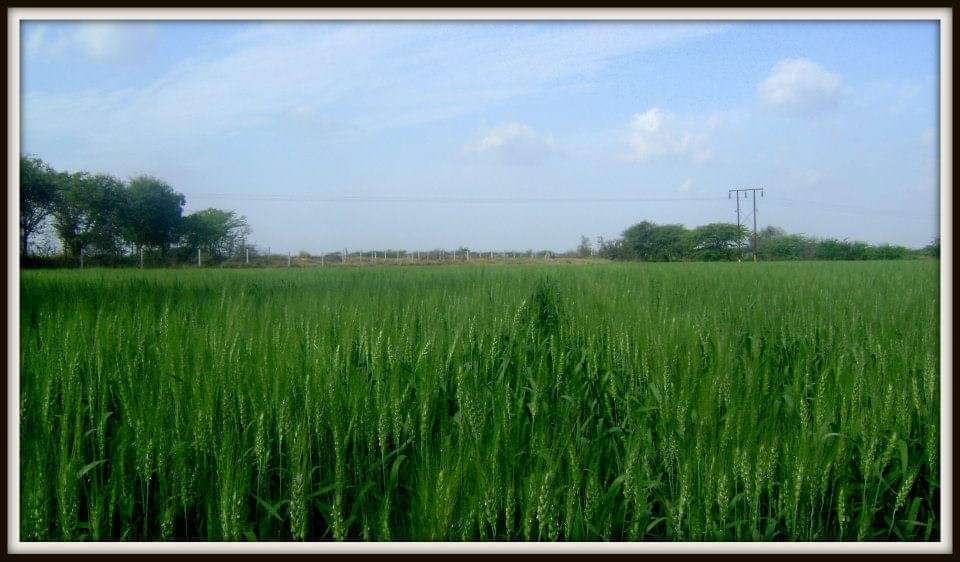Gujarat Celebrates Kisan Sanman Day.