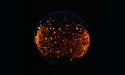 Fire in Microgravity See the beautiful effects post by Nasa. Pictures are Viral.