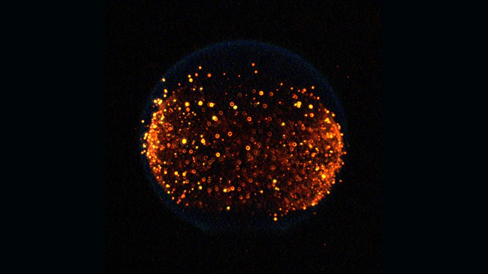 Fire in Microgravity See the beautiful effects post by Nasa. Pictures are Viral.