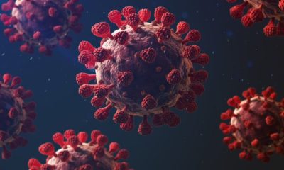 Corona cases in India rising, new 45,000 cases after 2month.