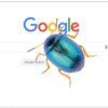 Top Stories Google Bug of images is solved and images are coming.