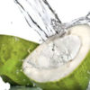 What are the benefits of coconut water? Read it