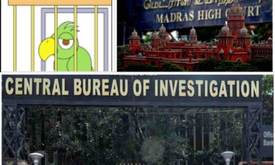 Madras high court issues directions to ‘release caged parrot CBI’