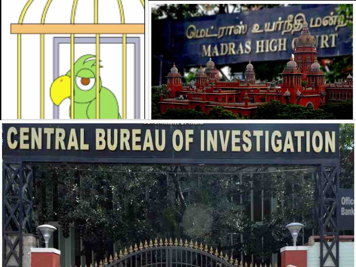 Madras high court issues directions to ‘release caged parrot CBI’