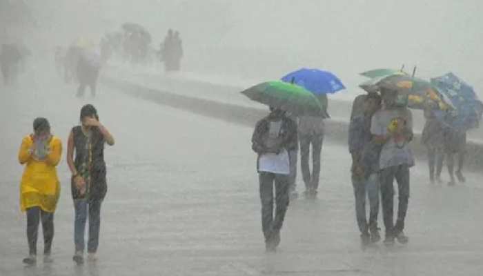 The arrival of Megharaja: After a long wait in Gondal-Gujarat.