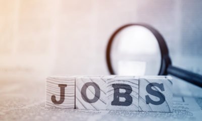 more than 12000 jobs will be given by Gujarat Government in 2021.