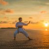Surendranagar's Prithvish won Silver Medal in Taekwondo Championship.