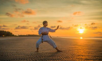 Surendranagar's Prithvish won Silver Medal in Taekwondo Championship.
