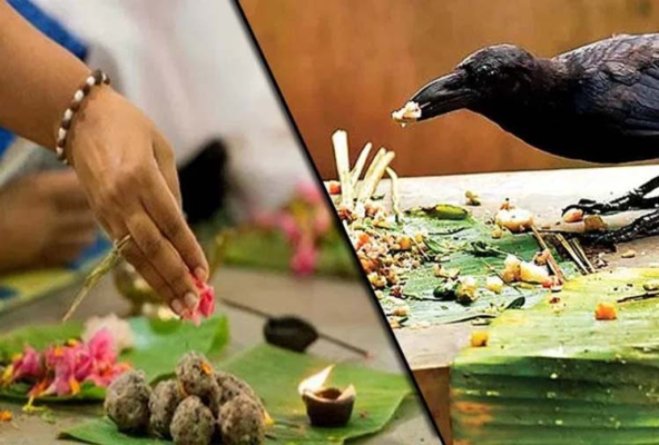 Shraddha Paksha is of great importance in Hindu culture