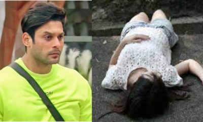 Siddharth Shukla's accidental death his female fan in a coma.