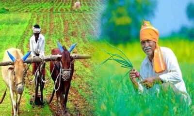 Register Pm Kisan app before September 30.