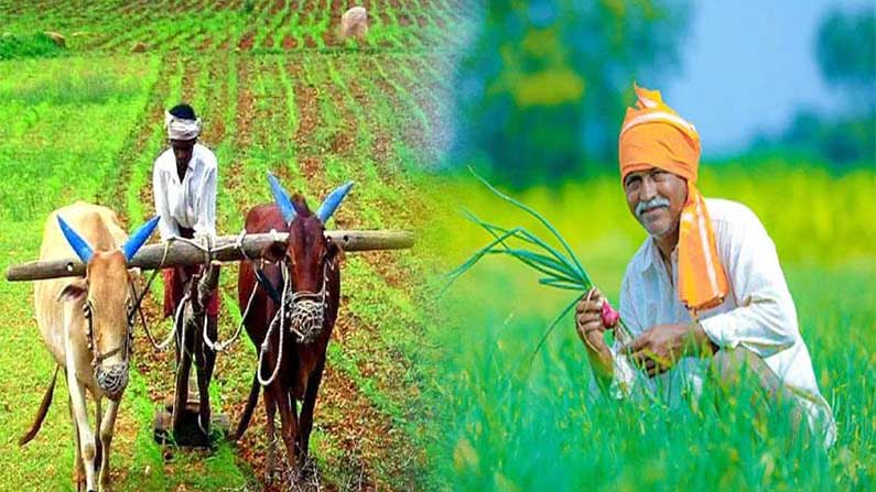Register Pm Kisan app before September 30.