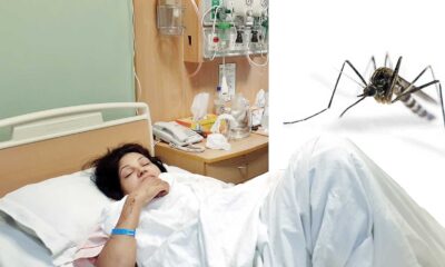 Dengue Hemorrhagic Fever