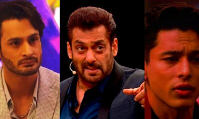 Salman Khan shouted at Umar Riaz