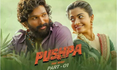 Pushpa movie cross $100 million