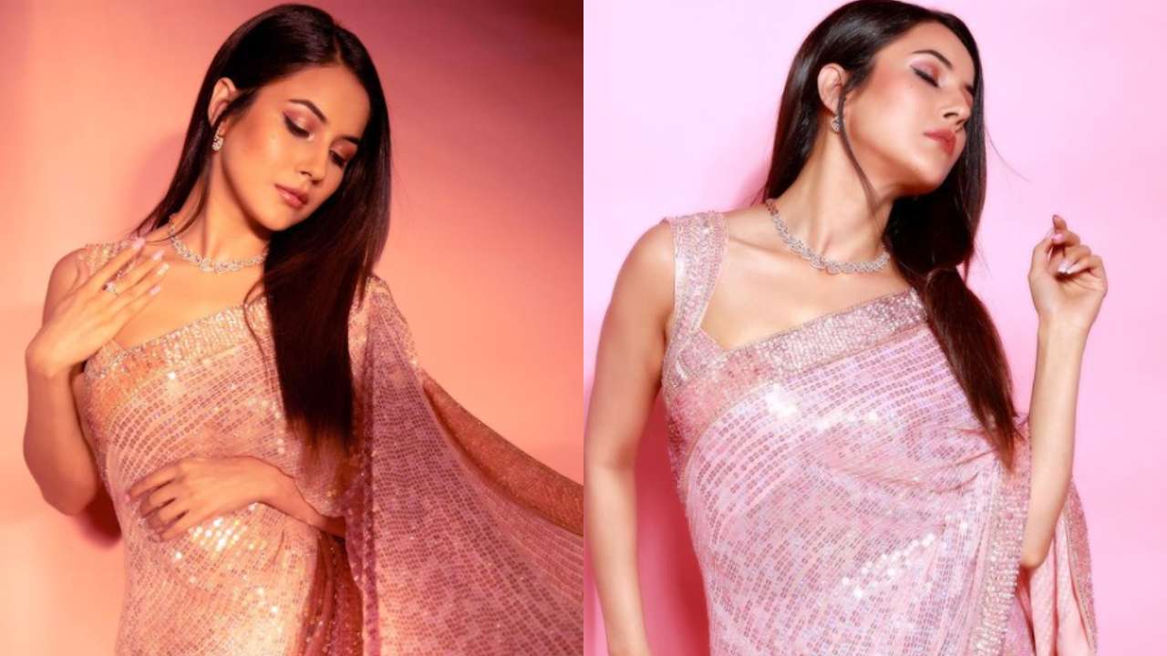 Shehnaaz Gill looks stunning in a pink saree