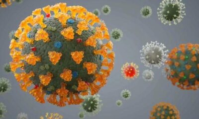 Chinese scientists warn a new type of Coronavirus