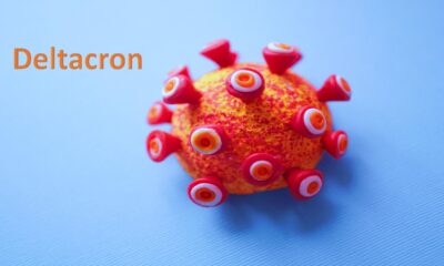 deltacron variant cyprus