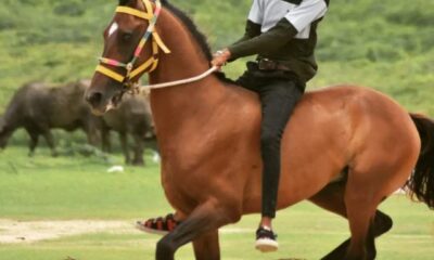 Rajdeep Sinh Jadeja gave his life to save his horse in a Horse Riding event held in Kutch Gujarat.