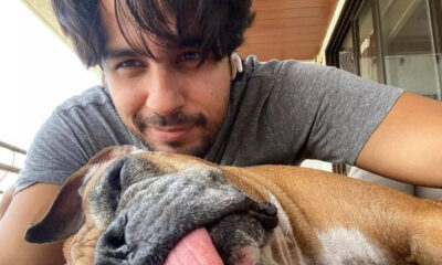 heartbreaking news about his pet Oscar's death