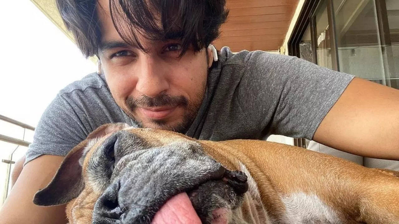 heartbreaking news about his pet Oscar's death