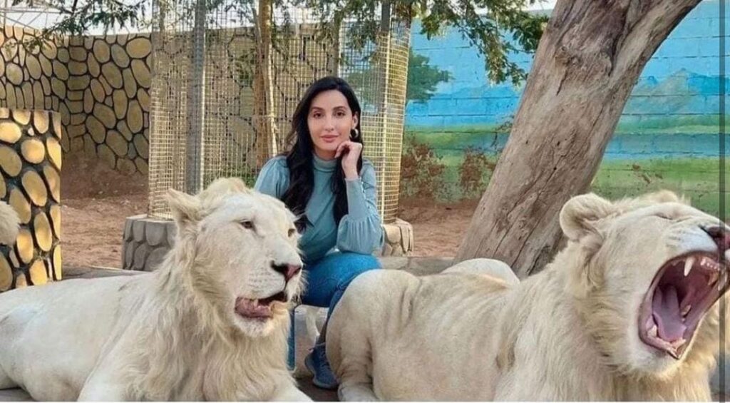 Last Picture posted by Nora Fatehi on her Instagram Acc 