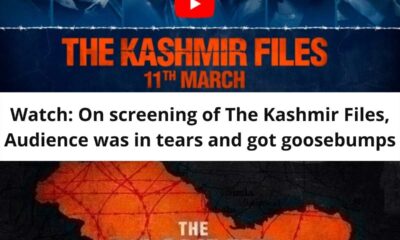 Screening of 'Kashmir Files' in Ahmedabad: Kashmiri pundits cried as they watched the film.