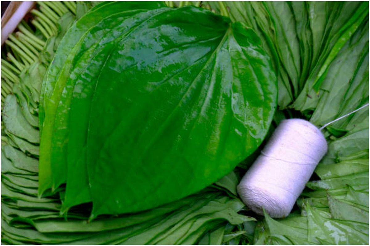Ayurvedic Tips