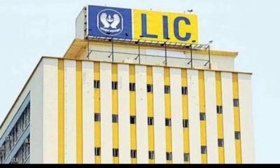 The LIC IPO