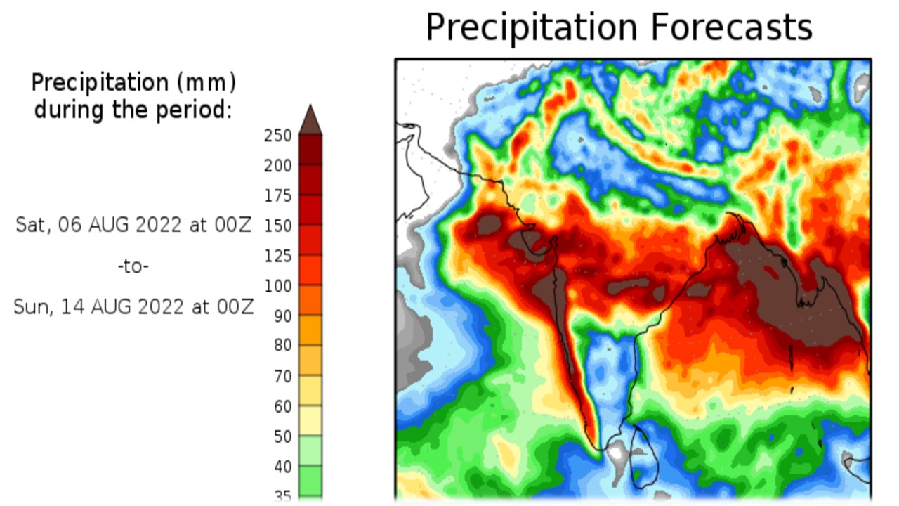 Gujarat Weather Updates