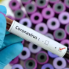 5 Covid deaths