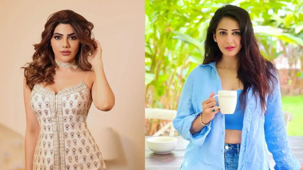 Sukesh Chandrasekhar case involvement