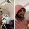 Kartik Aaryan posts a cute video of his pet dog