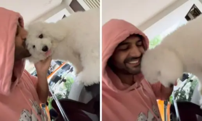 Kartik Aaryan posts a cute video of his pet dog
