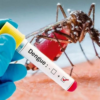 dengue positive cases to the health department