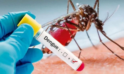 dengue positive cases to the health department
