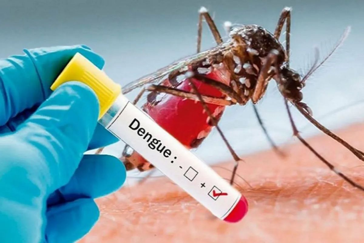 dengue positive cases to the health department