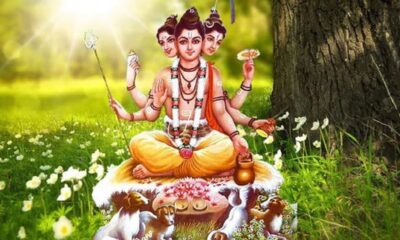 Read about Dattatreya Purnima and his story.