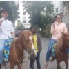 surat siblings photos on horse election 2022